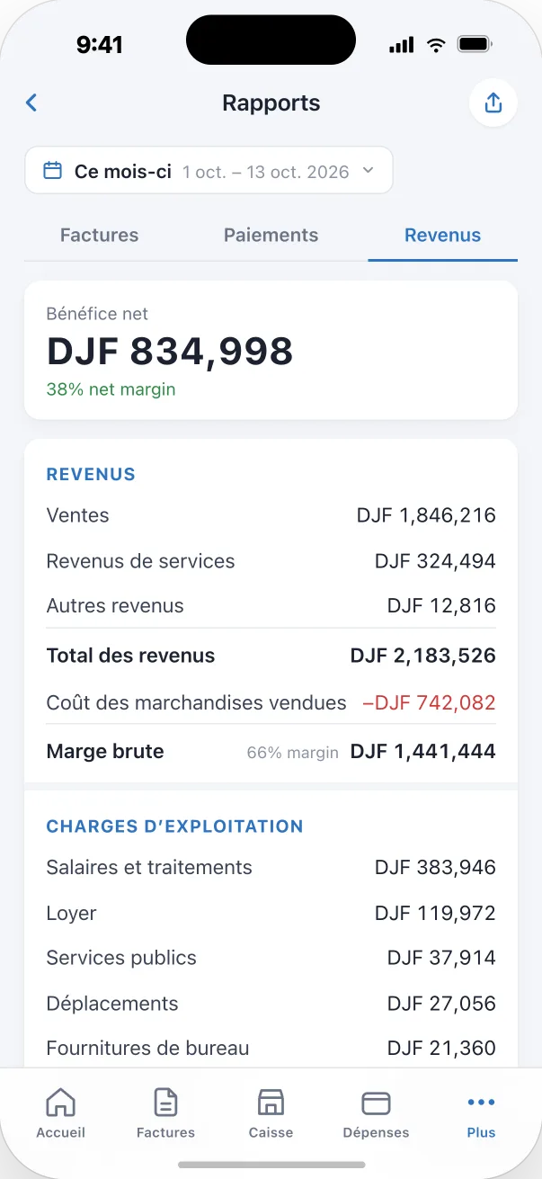 Écran du compte de résultat dans l’app Djib Smart